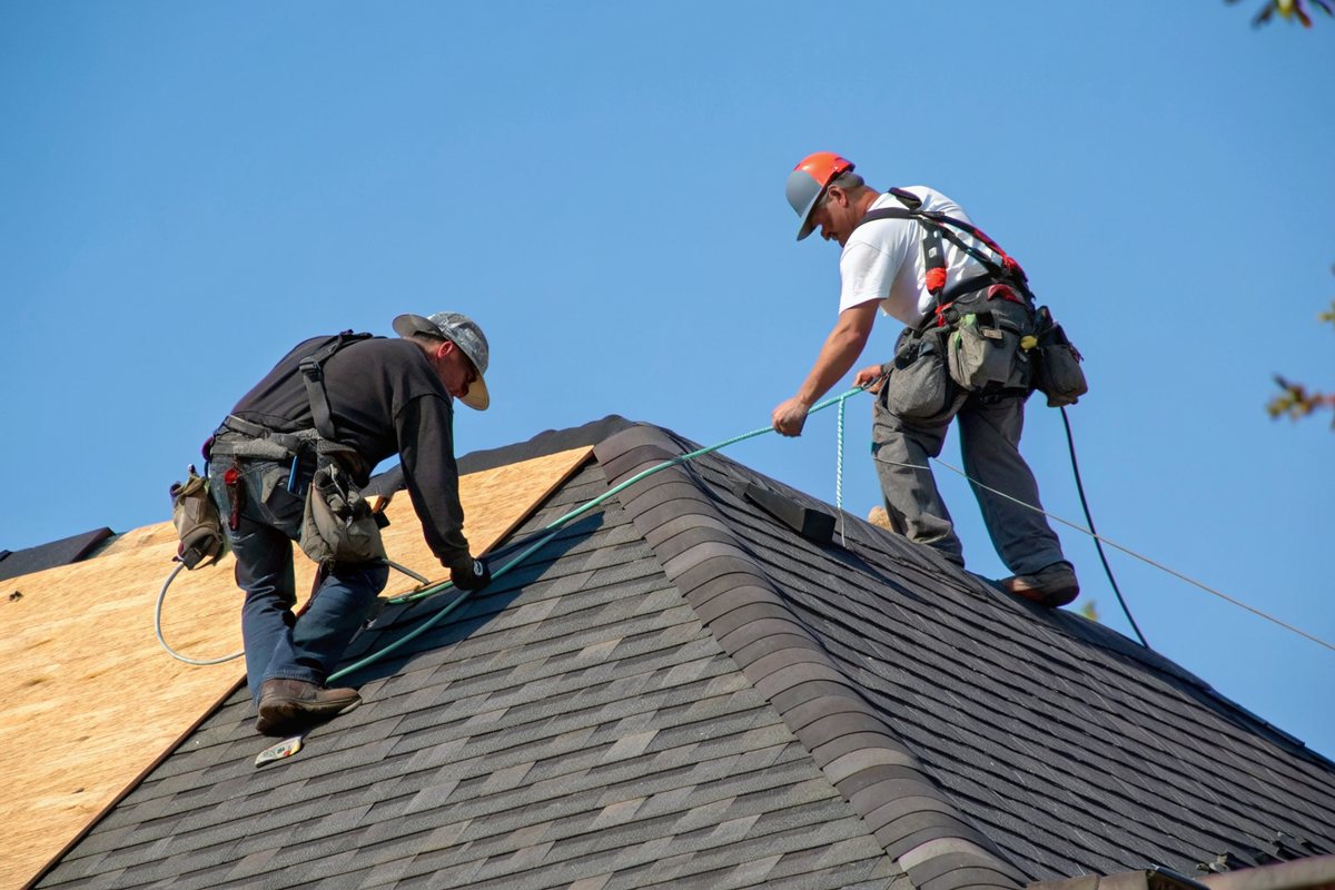 Two roofers in harnesses nailing new charcoal shingles on a pitched roof